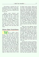Pictorial Mahabharata Volume - 5 Pictorial Mahabharata Volume - 5