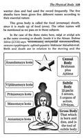 Insights Into Vedanta - Tattva Bodha Insights Into Vedanta - Tattva Bodha