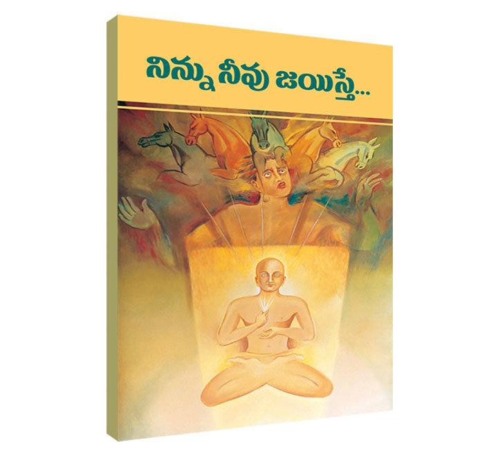 Ninnu Neevu Jayiste... (Telugu) (Paperback)