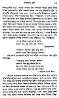 Sri Sri Chaitanyadev (Bengali) (Deluxe)